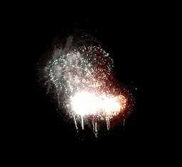 Gif animé feux d'artifices 164